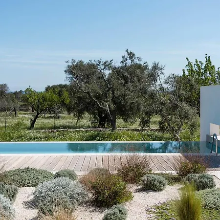 Serena By Puglia Classics